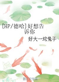 (BL/HP/德哈同人)好想告诉你